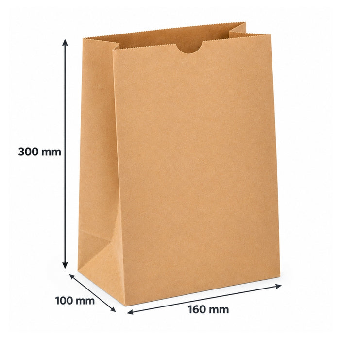 Paper Napkin Bags Medium